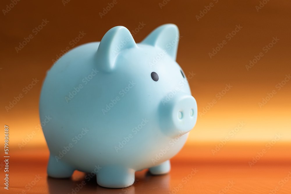 Piggy bank isolated on colored background