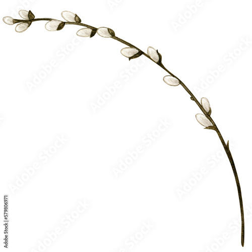 Watercolor pussy willow decoration