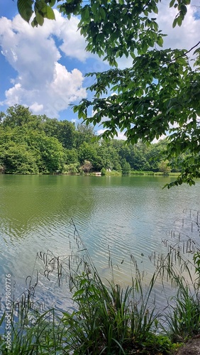 lake and forest