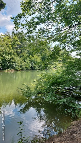 lake in the forest