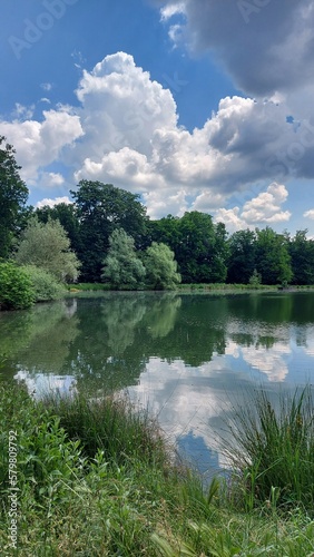 lake and forest