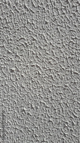 Wall