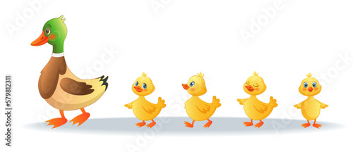 Cute duck and young duckling animals. Family walking on wild farm, funny yellow group, lake or farm birds. Mom with little kids vector isolated on white background cartoon tidy illustration