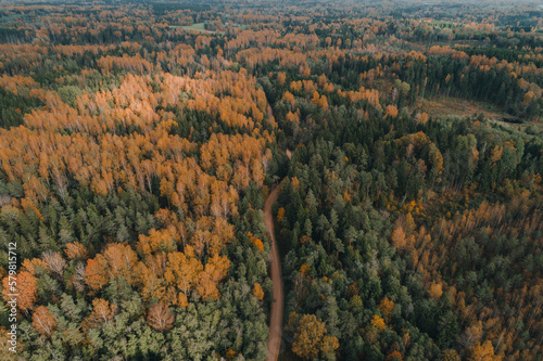 Aerial view of winding gravel road and colourful forest in autumn in Vorumaa, Estonia. photo