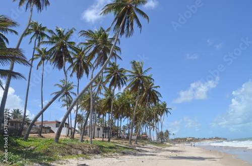 Praia de Caraúbas, Rio Grande do Norte © Adrovando