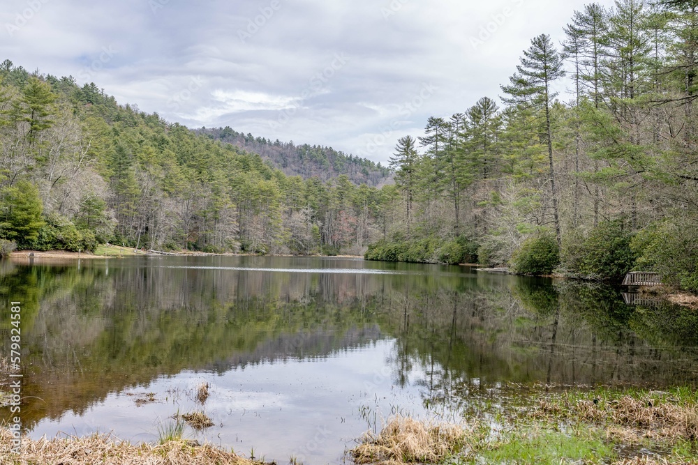 lake toxaway, fisher falls, water, waterfall, river, stream, nature, forest, rock, stone, landscape, cascade, rocks, mountain, green, creek, moss, fall, flow, flowing, wet, park, falls, natural, envir lake toxaway, fisher falls, water, waterfall, river, stream, nature, forest, rock, stone, landscape, cascade, rocks, mountain, green, creek, moss, fall, flow, flowing, wet, park, falls, natural, envir