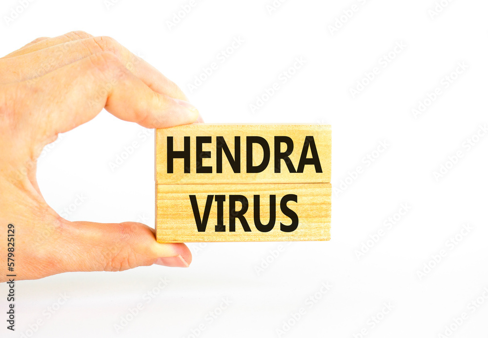 Hendra virus symbol. Concept words Hendra virus on wooden block. Beautiful white table white background. Doctor hand. Medical hendra virus concept. Copy space. Hendra virus symbol. Concept words Hendra virus on wooden block. Beautiful white table white background. Doctor hand. Medical hendra virus concept. Copy space.