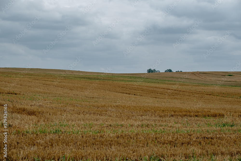 agricultural landscape with a stubble field under a cloudy sky