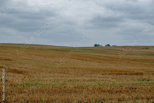 agricultural landscape with a stubble field under a cloudy sky
