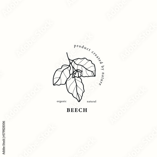 Line art beech tree branch illustration photo