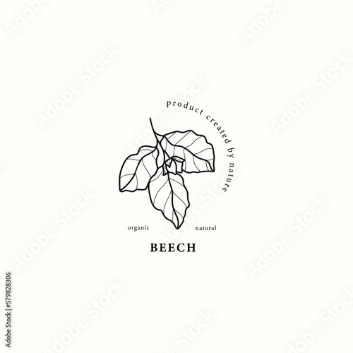 Line art beech tree branch illustration