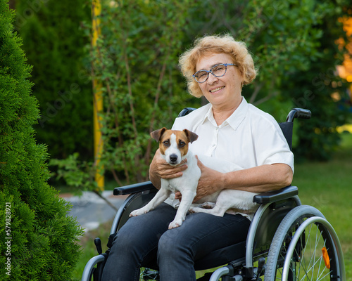 Elderly caucasian woman hugging a jack russell terrier dog while sitting in a wheelchair on a walk outdoors.  © Михаил Решетников