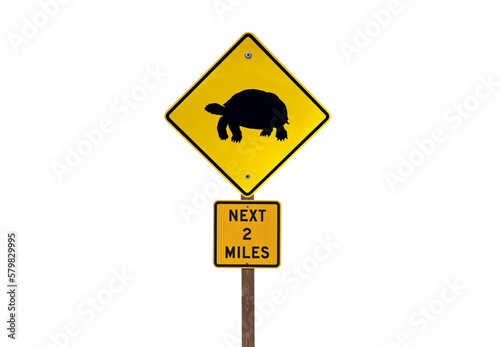 Tortoise caution highway si...