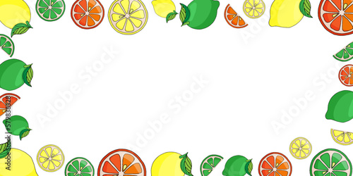 vector illustration white background frame of citruses