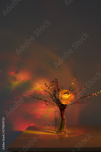beautiful flowers in sunset light