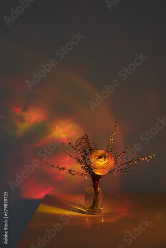 beautiful flowers in sunset light