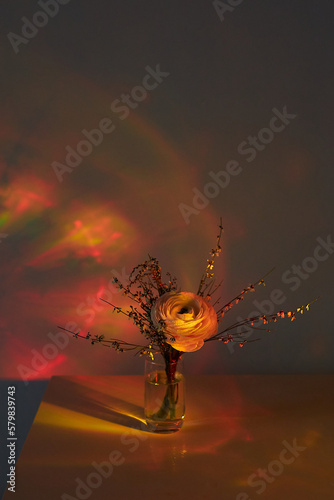 beautiful flowers in sunset light