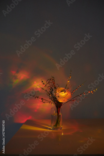 beautiful flowers in sunset light