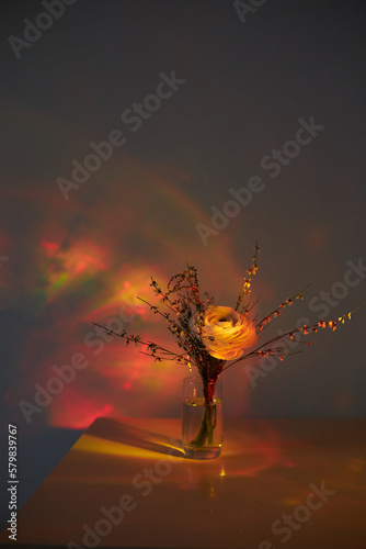 beautiful flowers in sunset light