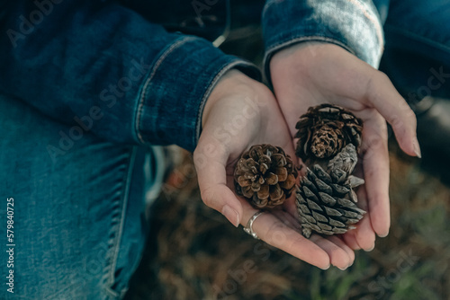 A person holding pine cones in their hands. photo