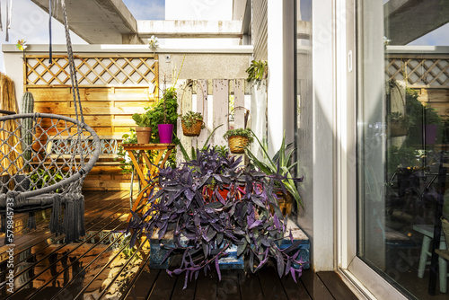 Terrace of a penthouse apartment with freshly watered decorative plants photo