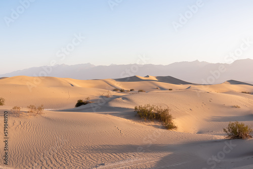 Scenic view on natural ripple sand pattern during sunrise at Mesquite Flat Sand Dunes  Death Valley National Park  California  USA. Morning walk in Mojave desert with Amargosa Mountain Range in back