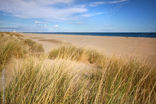 Plage de Vendres dans l'Hérault,  oyats, dunes, littoral méditerranéen,  Occitanie, plage de Méditerranée, Languedoc Roussllon France
