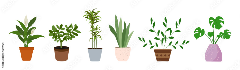 Indoor house plants vector set isolated on white background. Houseplant collection. Flat vector illustration Indoor house plants vector set isolated on white background. Houseplant collection. Flat vector illustration