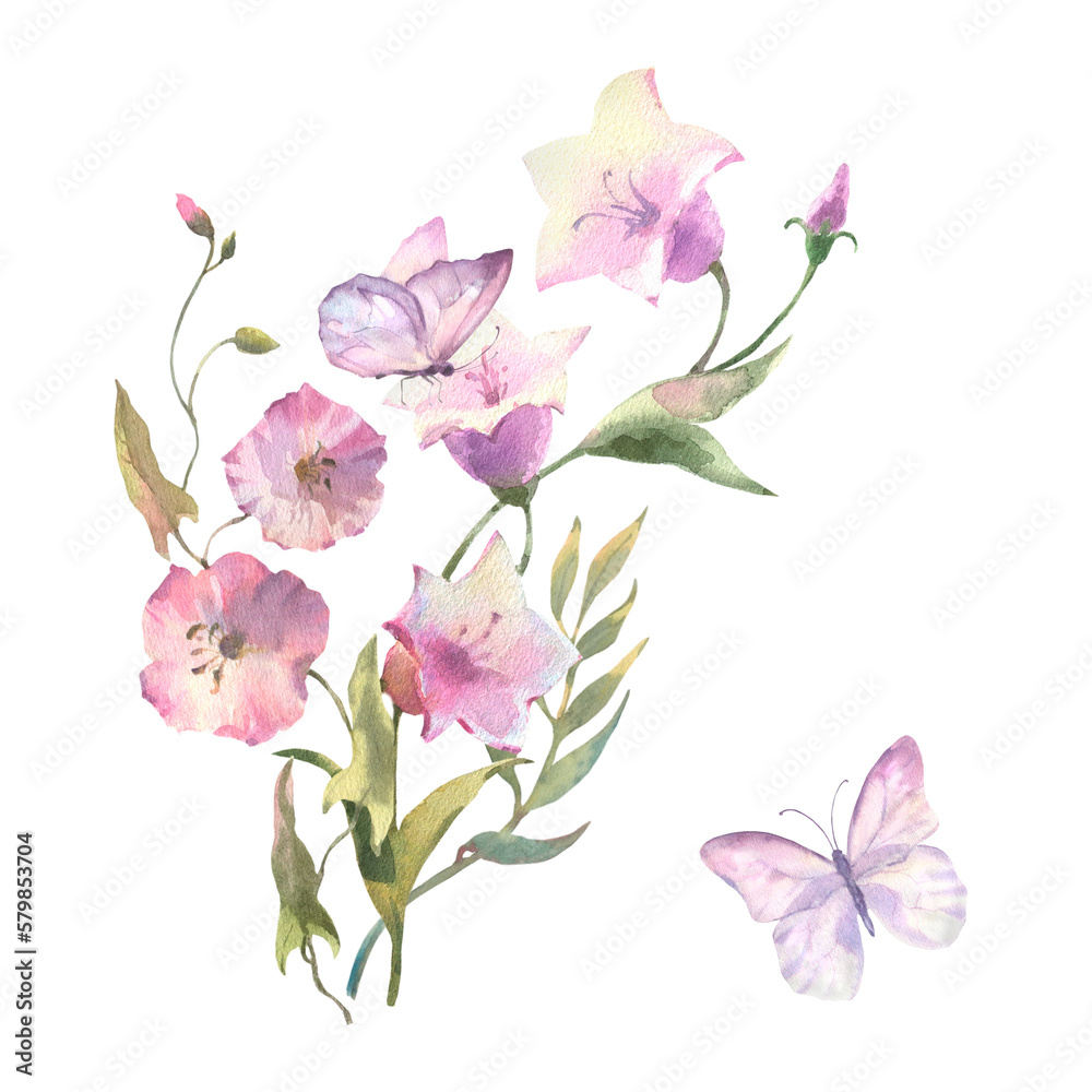 Fototapeta premium Watercolor Field flowers, bluebell flower and bindweed bouquet and butterfly, isolated on white background. For the design and decoration of frames, banners, postcards, certificate