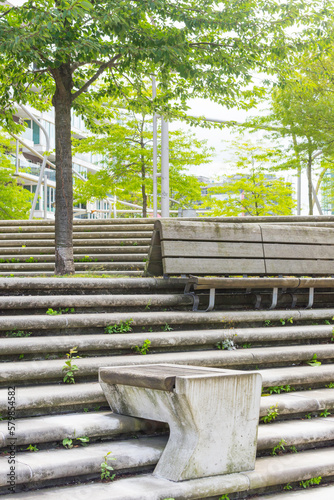 Bench and seating steps under trees invite you to linger in the shade. The steps have patina and the furniture looks old and worn. Cherry trees form a green canopy. 
