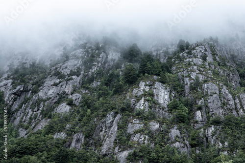 Landscape between Caleta Yungay and Tortel - traveling the Carretera Austral at the end of summer - Patagonia  Chile