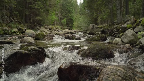 Beli iskar river in Bulgaria running through stones in green forest.