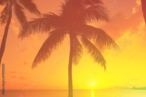 silhouette of tropical palm trees and ocean sunset © kieferpix