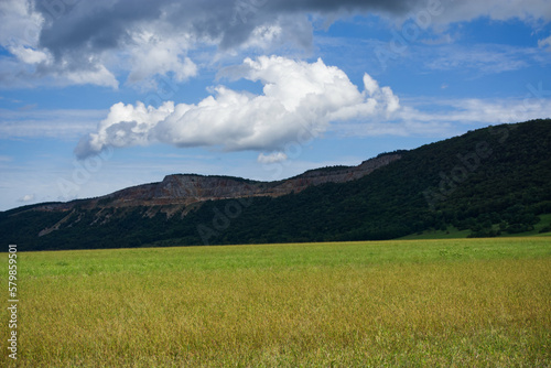 field and blue sky