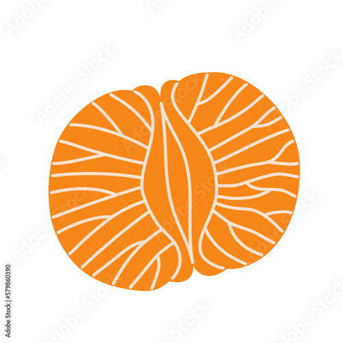 Half a peeled mandarine. Citrus fruit. Hand-drawn colored flat vector illustration of tangerine.