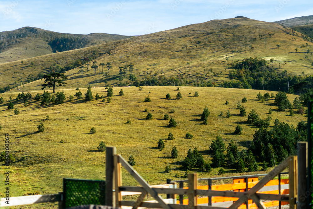 Fototapeta premium fields and dunes 1
