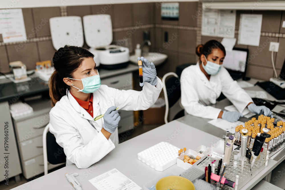 Fototapeta premium Two female scientists or technicians with face protective masks work in laboratory on human blood samples.