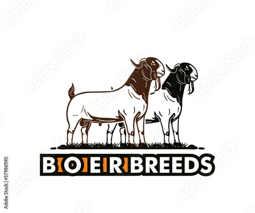 GREAT GOAT BREEDS BOER LOGO, silhouette of strong and healthy ram vector illustrations