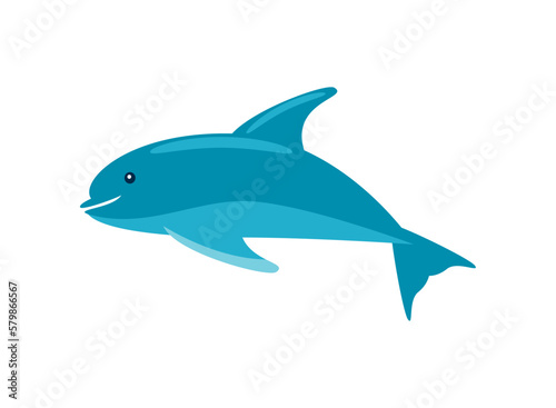 dolphin aquatic animal