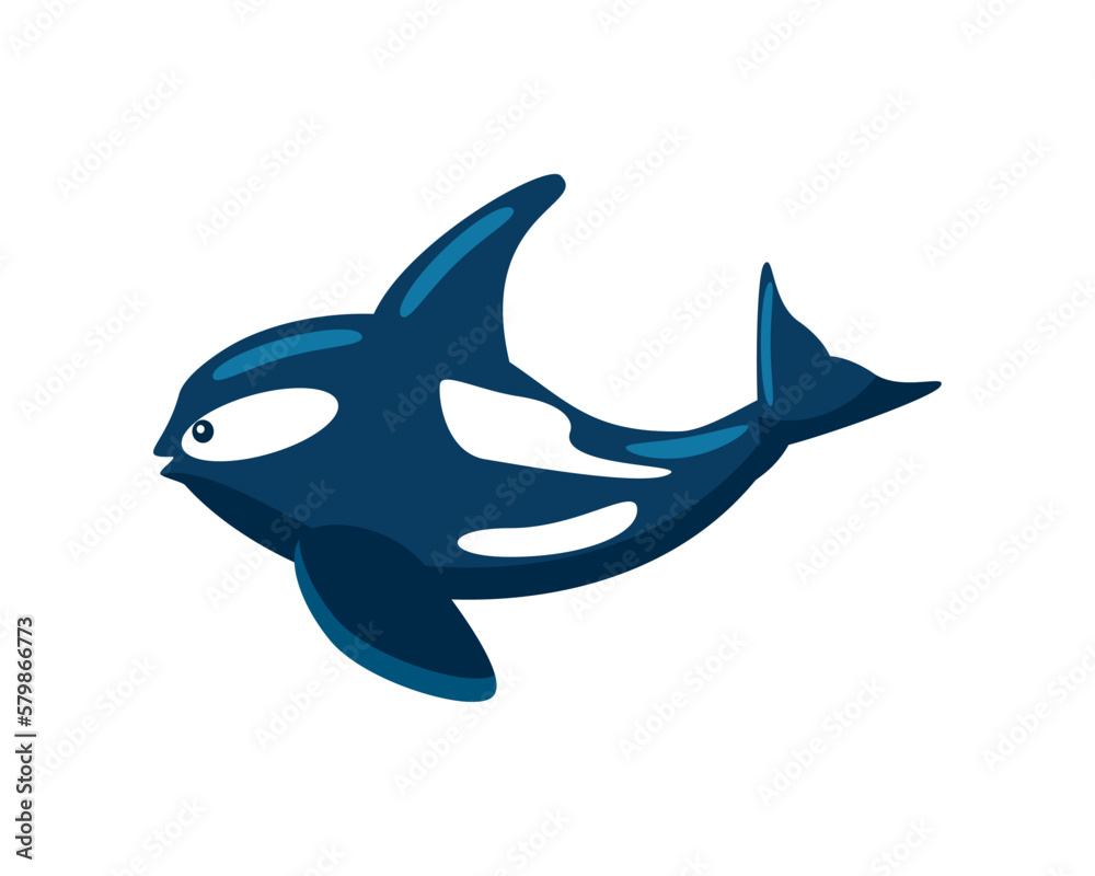 Obraz premium orca whale aquatic animal