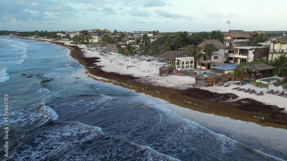 Caribbean Beaches Covered in Sargassum Seaweed Aerial View Caribbean Beaches Covered in Sargassum Seaweed Aerial View