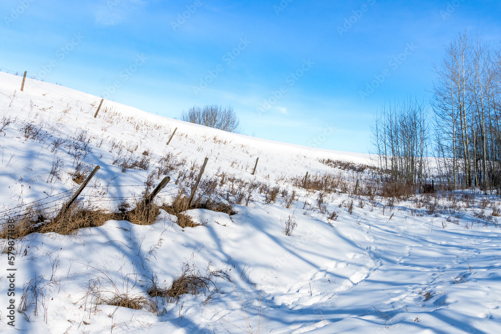 Farm field edge ravine with barbed fence and blues sky background in winter season Farm field edge ravine with barbed fence and blues sky background in winter season