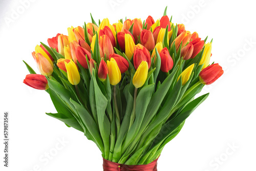 a large bouquet of fresh yellow and red tulips, isolated