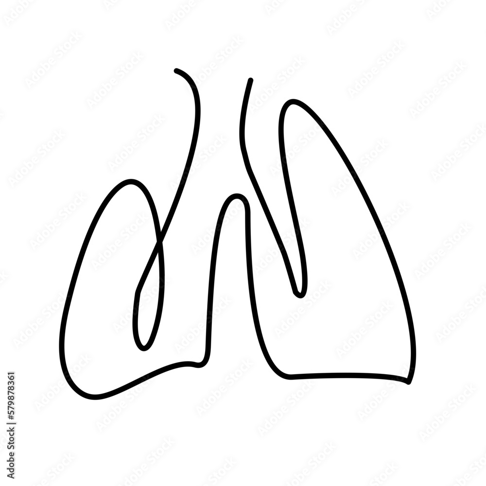 abstract line art of human organs abstract line art of human organs