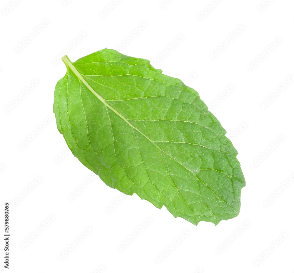 Obraz premium Peppermint transparent png