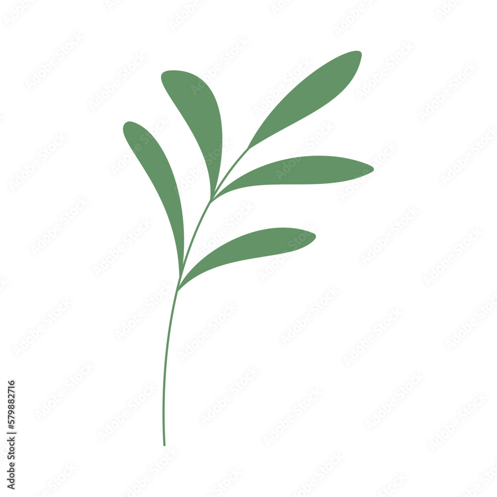 Naklejka premium Decorative green leaves. Hand drawn decorative elements. Vector illustration