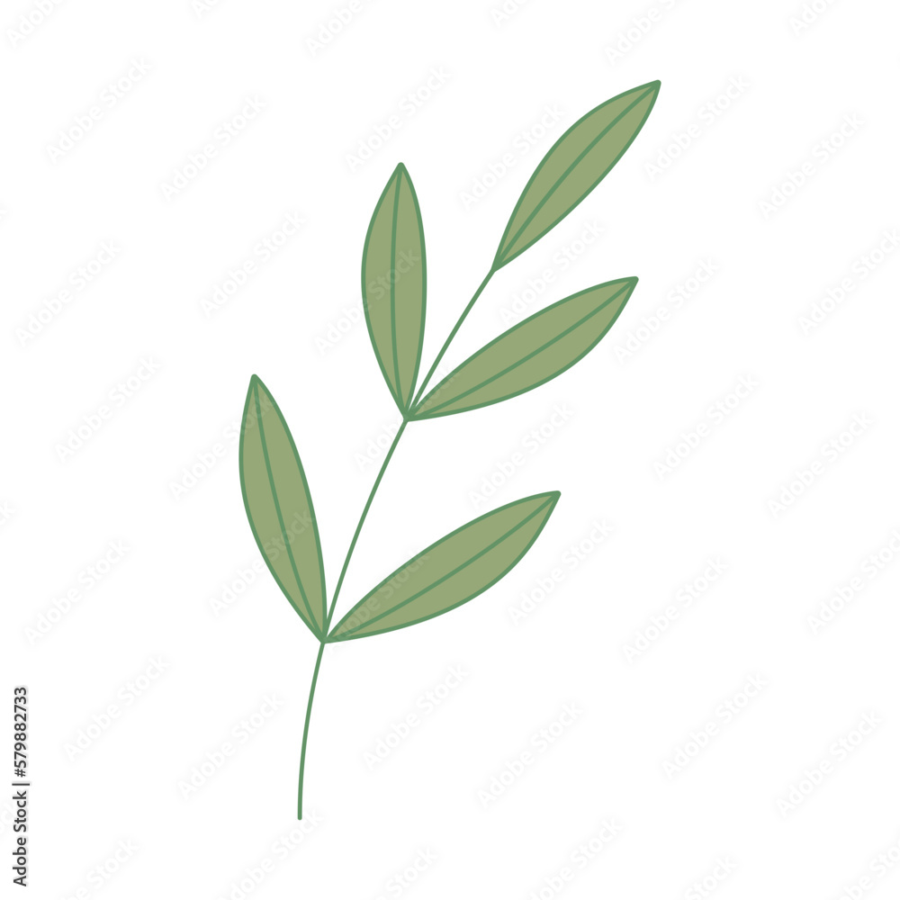 Decorative green leaves. Hand drawn decorative elements. Vector illustration