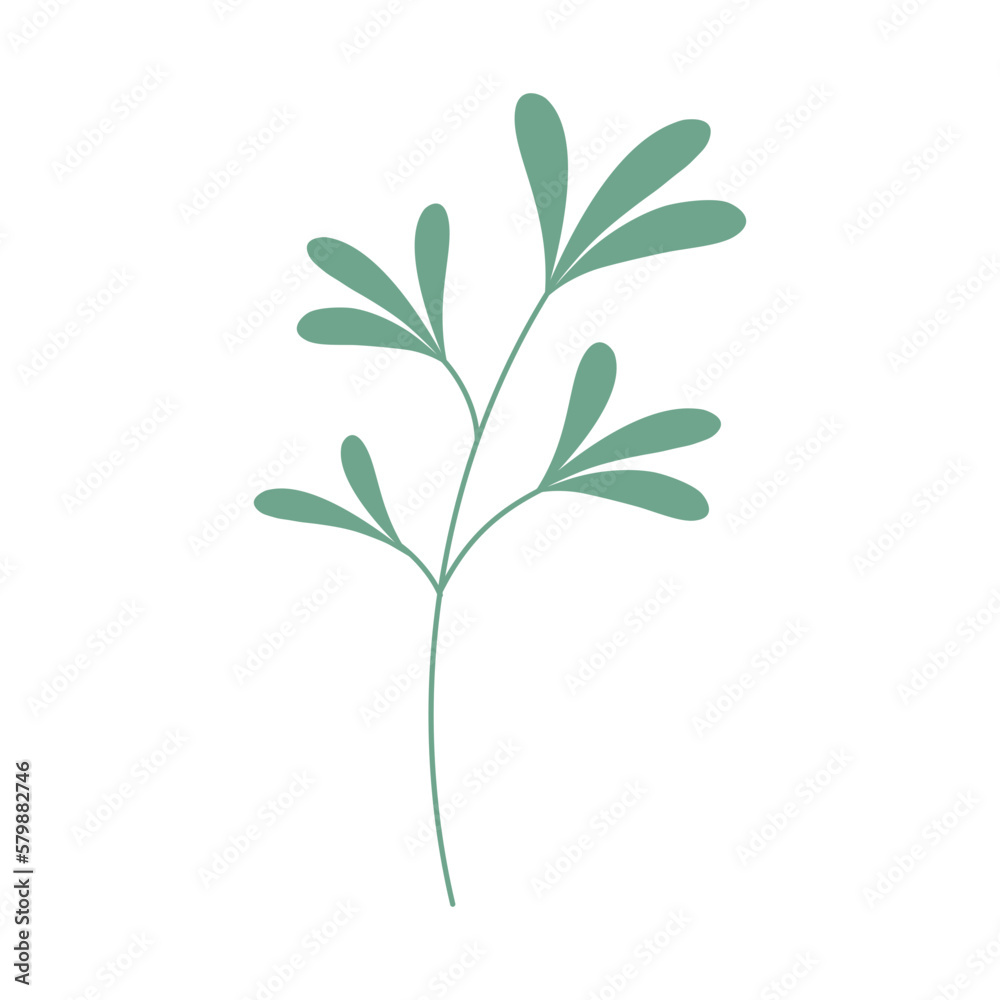 Fototapeta premium Decorative green leaves. Hand drawn decorative elements. Vector illustration
