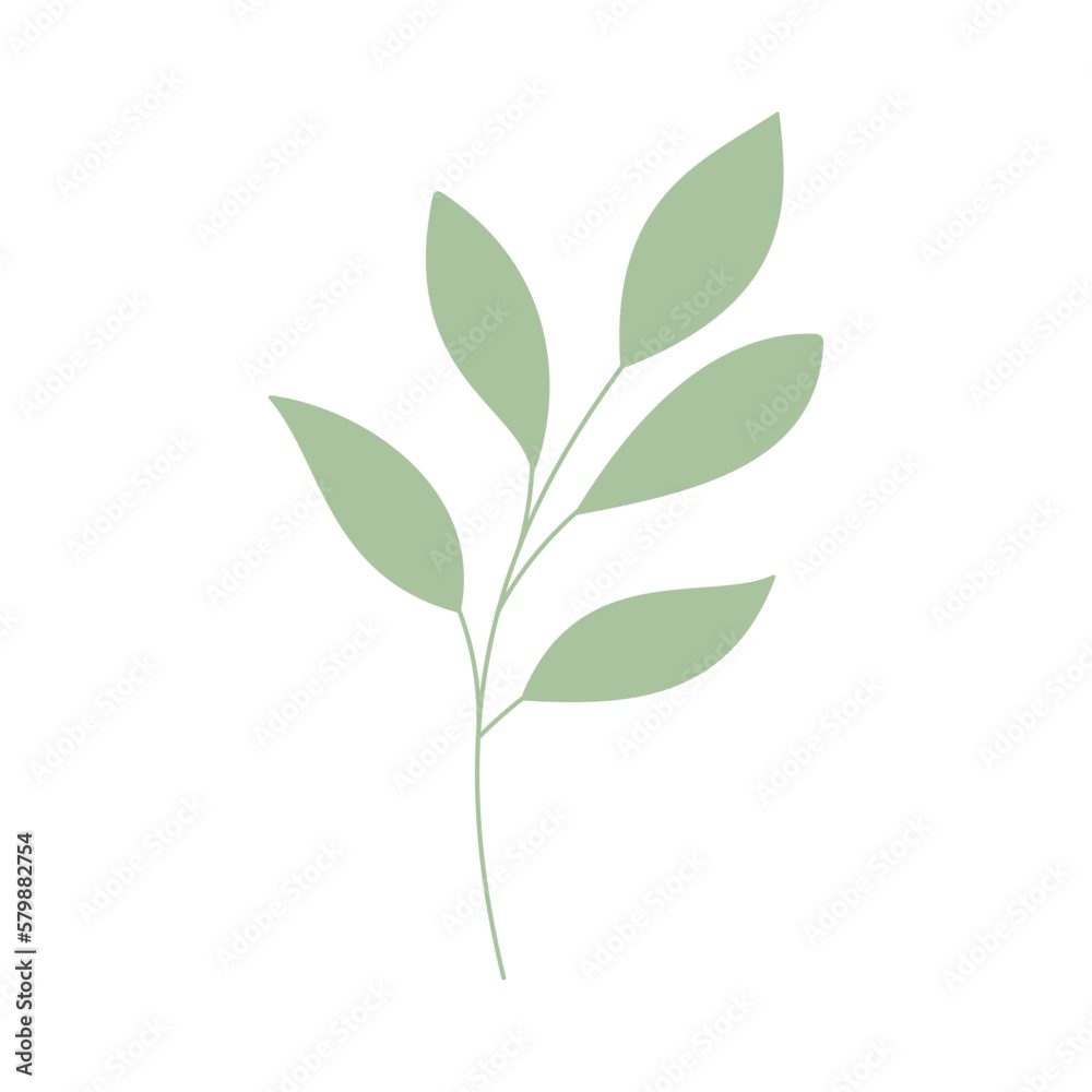 Decorative green leaves. Hand drawn decorative elements. Vector illustration