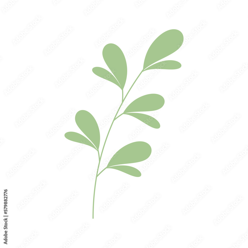 Obraz premium Decorative green leaves. Hand drawn decorative elements. Vector illustration